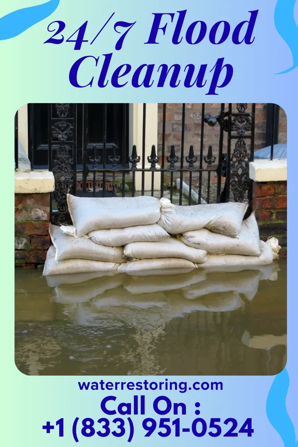 24/7 Flood Cleanup in Saluda, NC