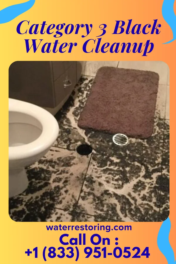 Category 3 Black Water Cleanup in Saluda, NC
