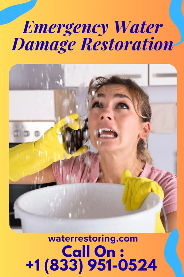 Emergency Water Damage Restoration in Saluda, NC