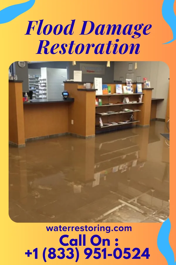 Flood Damage Restoration in Saluda, NC