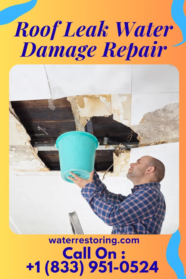 Roof Leak Water Damage Repair in Saluda, NC