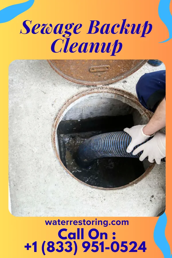 Sewage Backup Cleanup in Saluda, NC