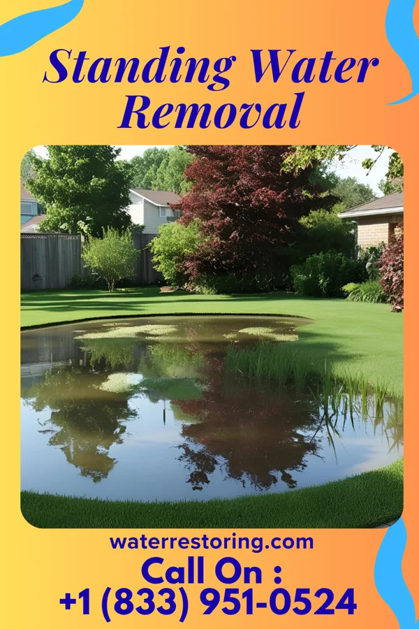 Standing Water Removal in Saluda, NC